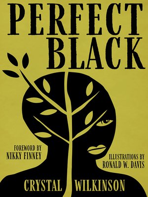 cover image of Perfect Black